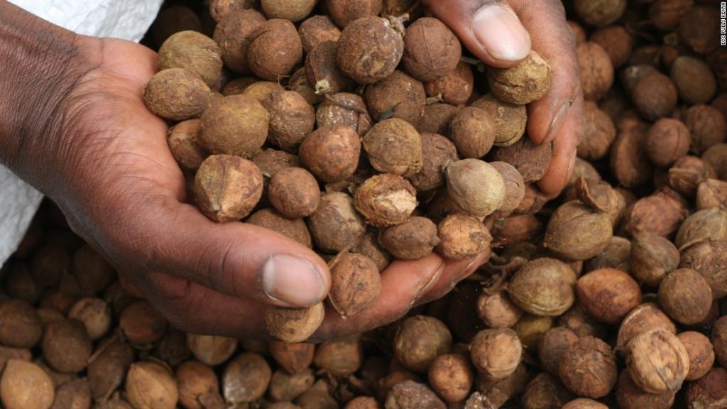 CNN's tweet photo. Research has also shown that eating nuts daily may help us live longer, healthier lives https://t.co/E4V50DFWgj https://t.co/W8Wv6JJwox