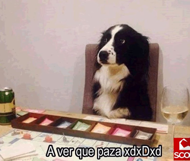 Cuando te explican un juego de mesa pero no entiendes ni madres y aún así decides jugar
