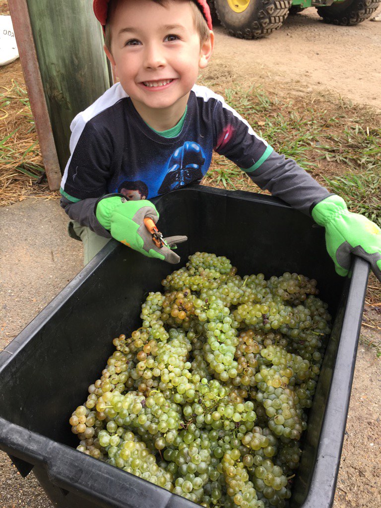 Wimbaliri Wines tweet media