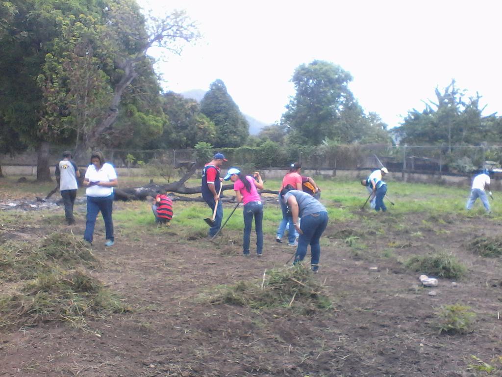 endogenomontes's tweet photo. @NicolasMaduro .@JauaMiranda .@karsanc  plan siembra 500 en accion montes del estado sucre https://t.co/6y4Sj1p4T3