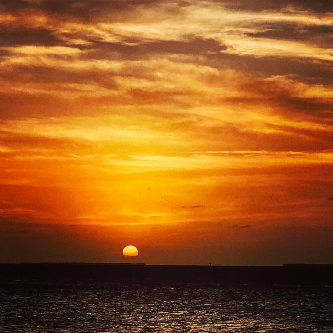 mvkeywest's tweet photo. Delight your eyes with our sunset views. https://t.co/6Vykk3tg73