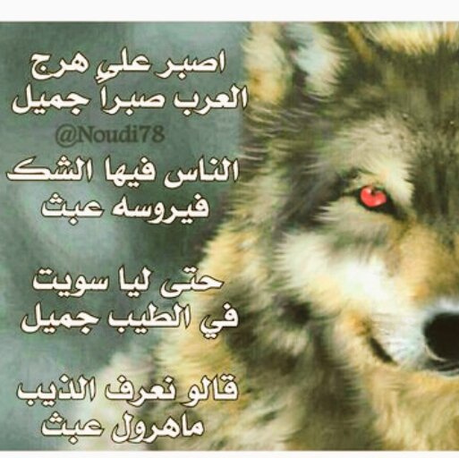 shray6's tweet photo. يشبه بعض الأشخاص في حياتنا للأسف https://t.co/lRx90IPFxV