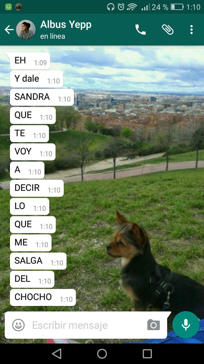 Sandrusky_M4's tweet photo. #Romantikeo #Lamassimpatica #SelaAcabaLapaciencia #Huyo https://t.co/3aiW7Cqaaa