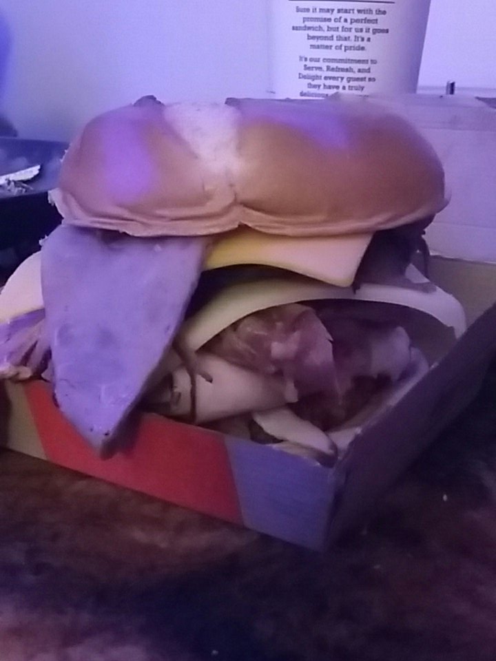 ThisIsGoodGood's tweet photo. Gotta thank #Arbys you made me a crazy 10 dollar sandwich today :) https://t.co/FQ6vOaRrsJ
