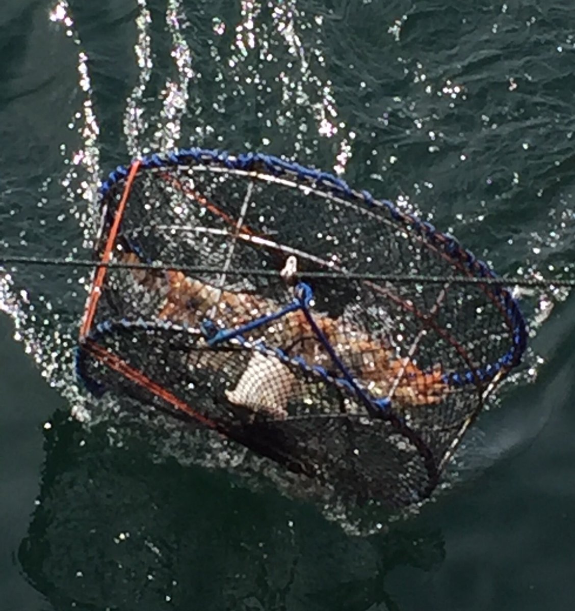 Dallas4BC's tweet photo. @DFO_MPO where is the equipment and response. FN can't keep paying for lack of response. #bellabella #burdwood #portharvey #ocean=food=life https://t.co/pSDkgDvVrI