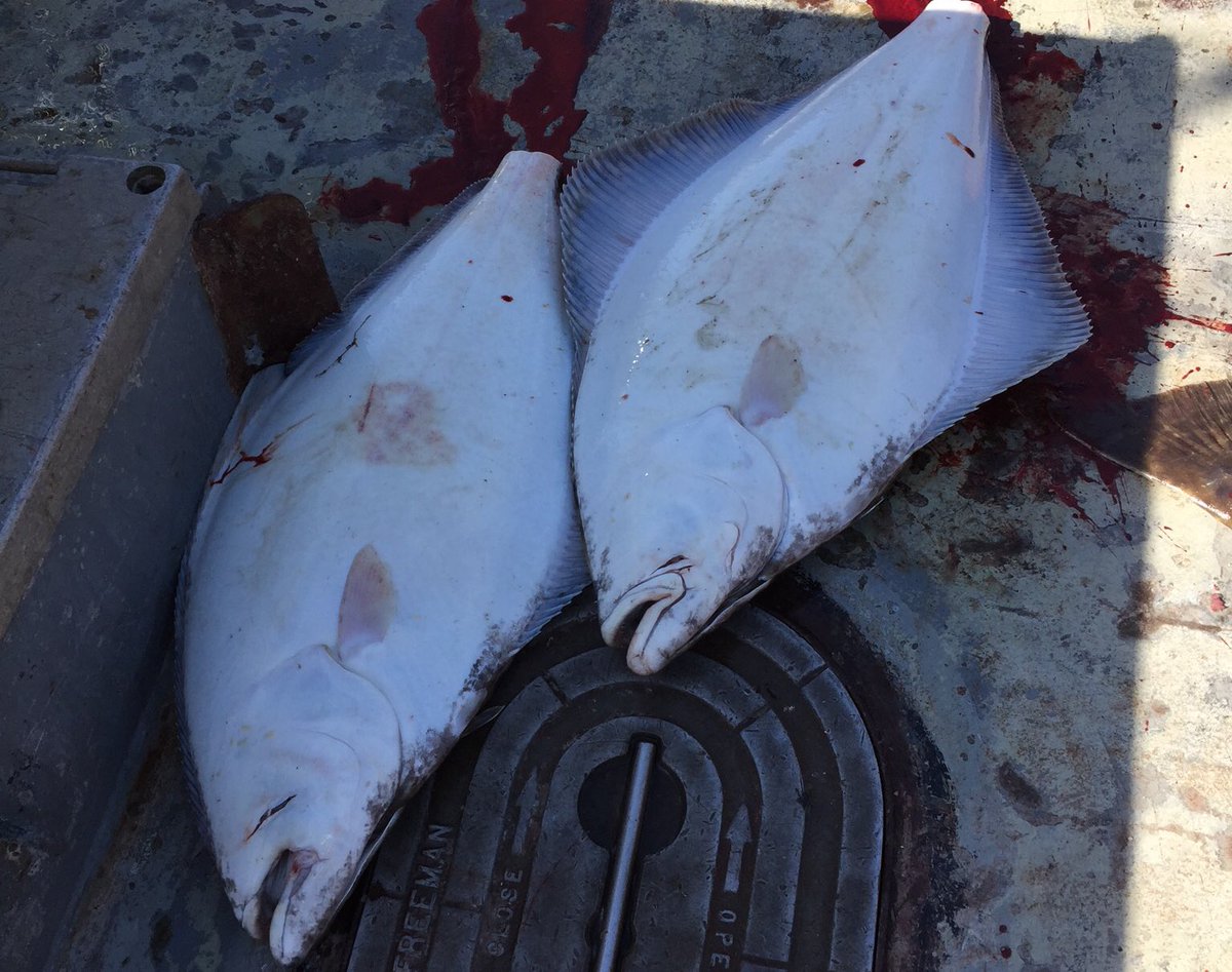 Dallas4BC's tweet photo. @DFO_MPO where is the equipment and response. FN can't keep paying for lack of response. #bellabella #burdwood #portharvey #ocean=food=life https://t.co/pSDkgDvVrI