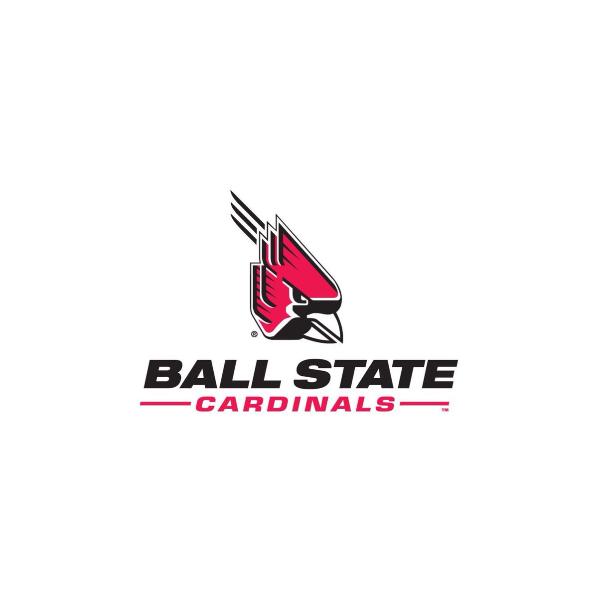 Robillardalec's tweet photo. Officially a card #ChirpChirp https://t.co/0GzHx5gn6A