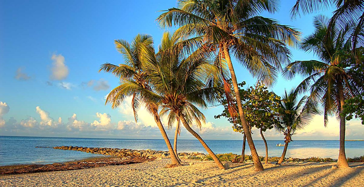 AboutFLKeys's tweet photo. #FloridaKeys #TravelTips #AAFK
https://t.co/sck81kN1df https://t.co/X5uHa8sHah