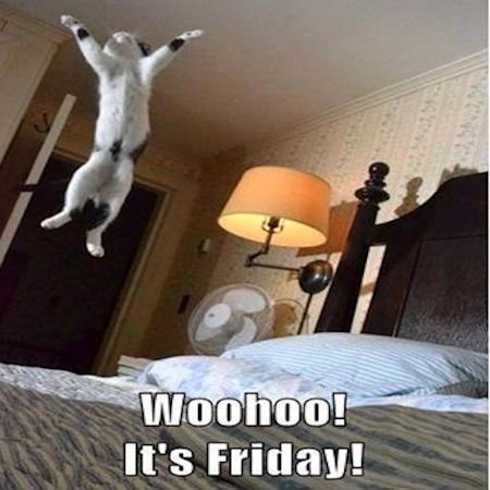 Having some serious...  #FridayFeeling 😍😉😎🙌😍
#HappyFriday  #TGIF  #FriYay 
#FridayFitness #Caturday #FridayVibes
#FlashbackFriday  #Fridays