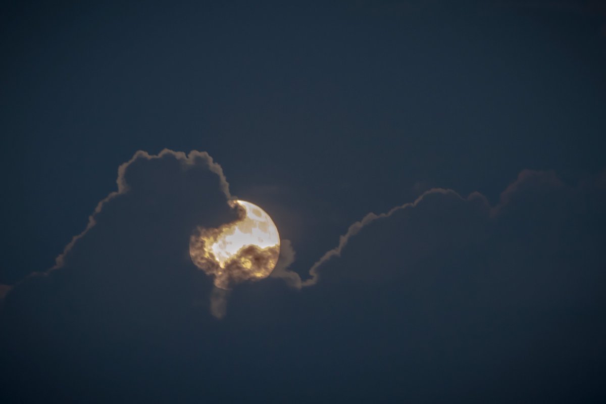 JustinAMoeller's tweet photo. Can I get a RT for this #super #motherfuckin #moon, for #FastTN? It's for #charity! #moon #night #super #lunar #photog #canon #7d https://t.co/xv5d6iaPVh