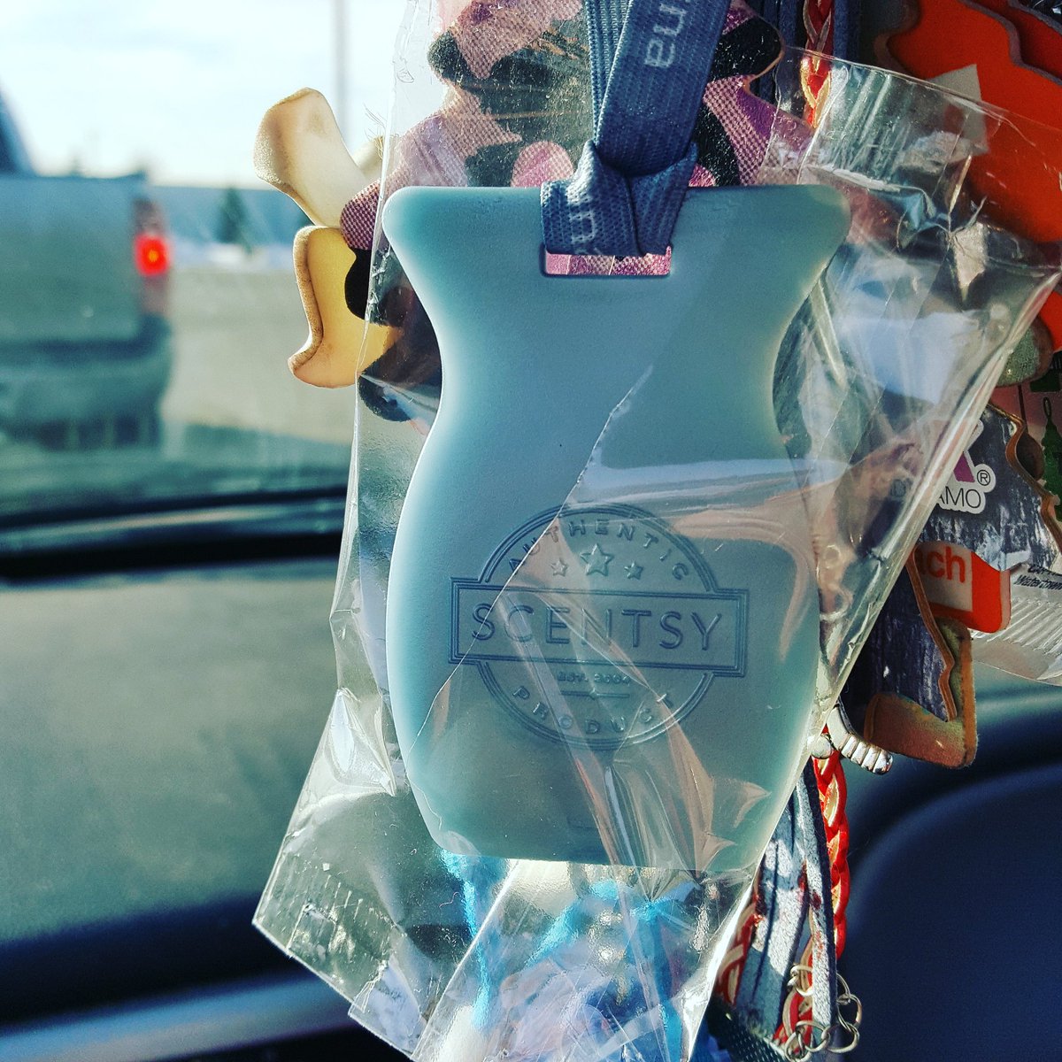 CorrinaNewell's tweet photo. #scentsy #scentsyconsultant #carbars ask me if you want to know more or order https://t.co/w6D0Dmo0yr