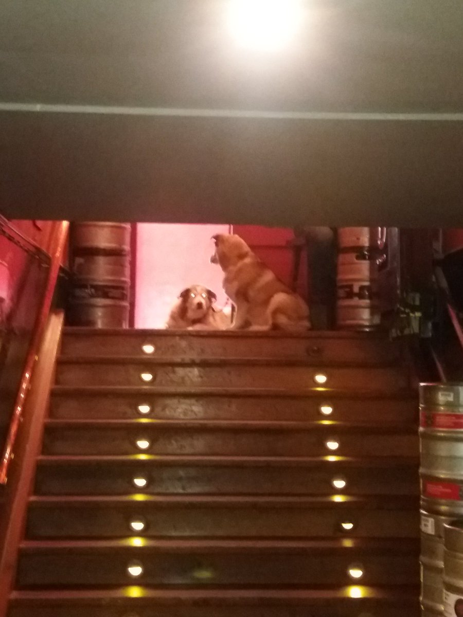 We have top security, the best security ever.