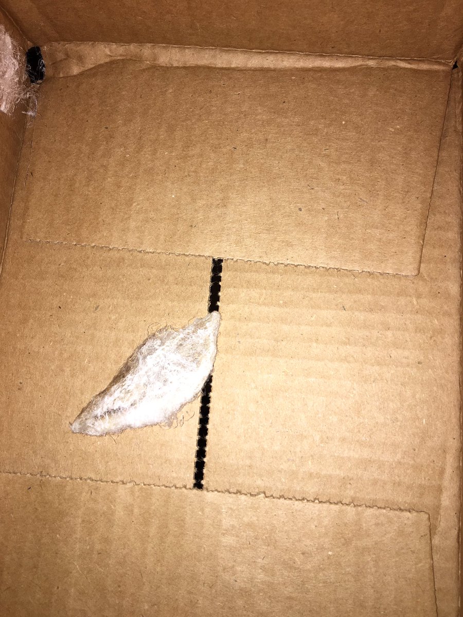camerocclark's tweet photo. @amazon think you guys sent me a little more than I asked for... https://t.co/BE5Z2lLzSg