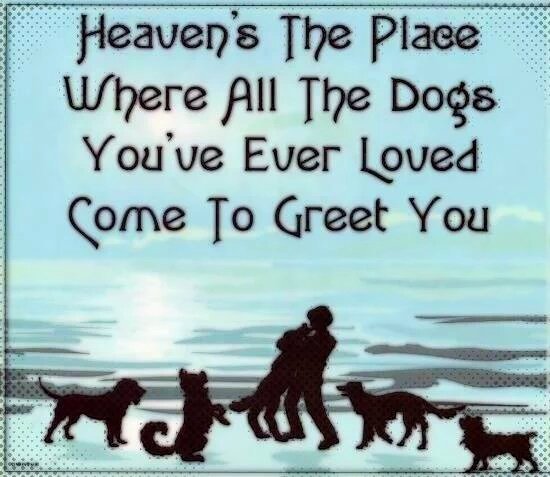 phradykat's tweet photo. @BraveWinston  Momma not feel good &amp; yesturday we not habz lektricity or heat, 22°! https://t.co/tBtxc9RzZj