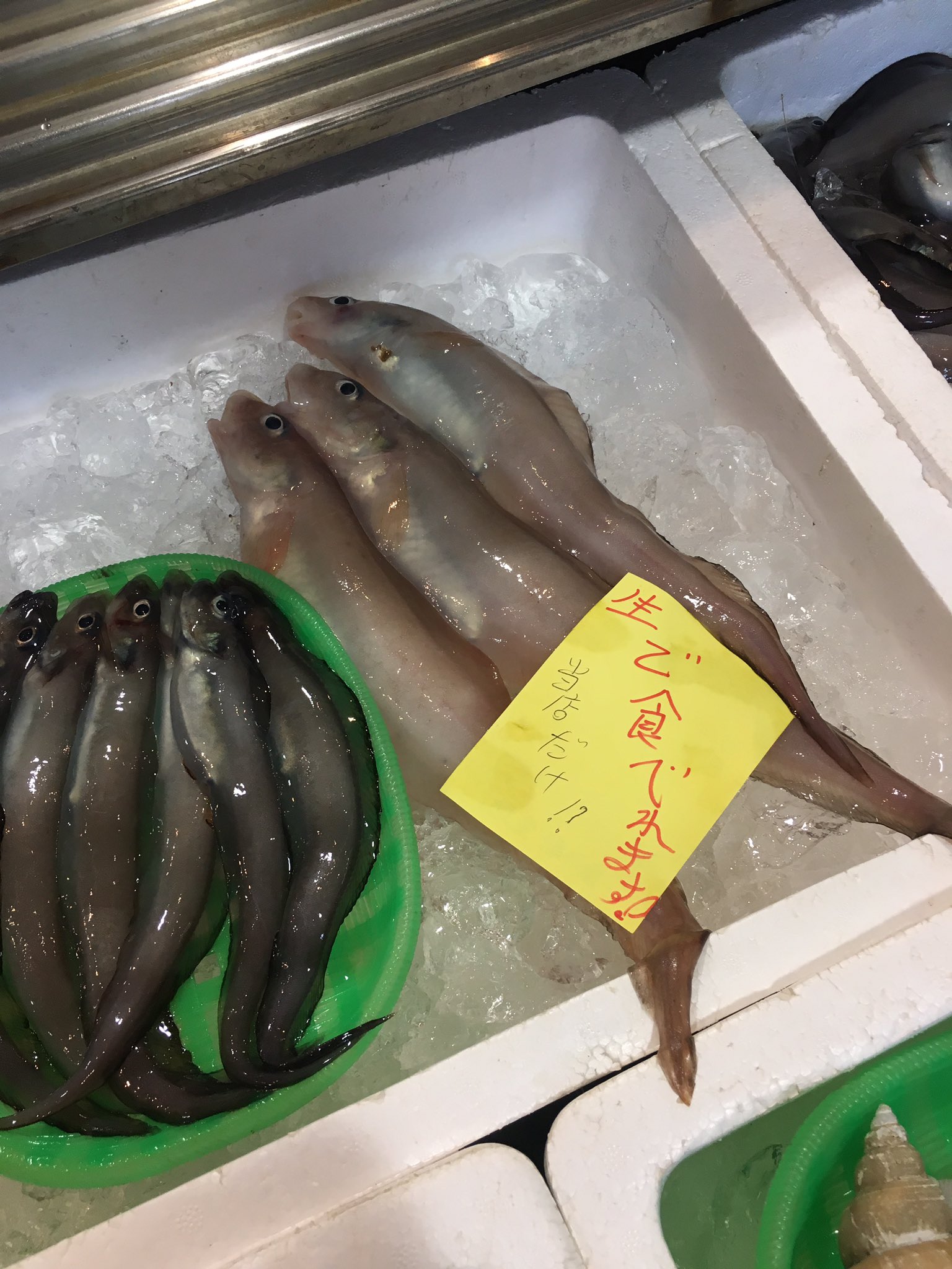 佐藤大樹　クッション     お値下げしました‼️ クマムシ佐藤大樹 on X: 