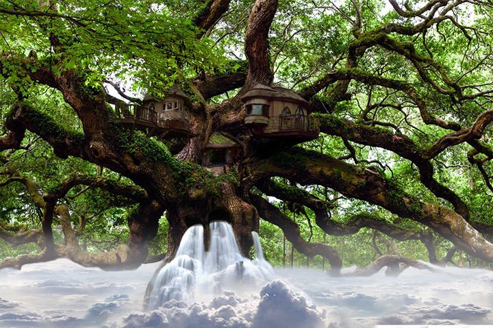 imageinconcepts's tweet photo. brings tree house to a whole new level ! (17 images composite) https://t.co/aVVgaGh4GJ