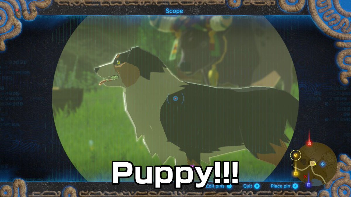 #puppy #BreathoftheWild #NintendoSwitch