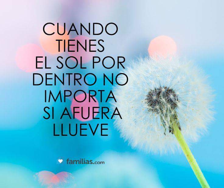 CruzVeracru's tweet photo. https://t.co/buqclAlRCd