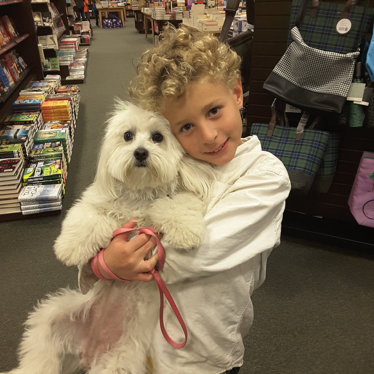 BNOtayRanch's tweet photo. Meet Bombona = #marshmallow en #Español #thankyou #dogs #dogsoftwitter #doglovers #dogfriends #dogsofinsta #animallovers #bndogs  #bombona https://t.co/0cNdmaZcMW