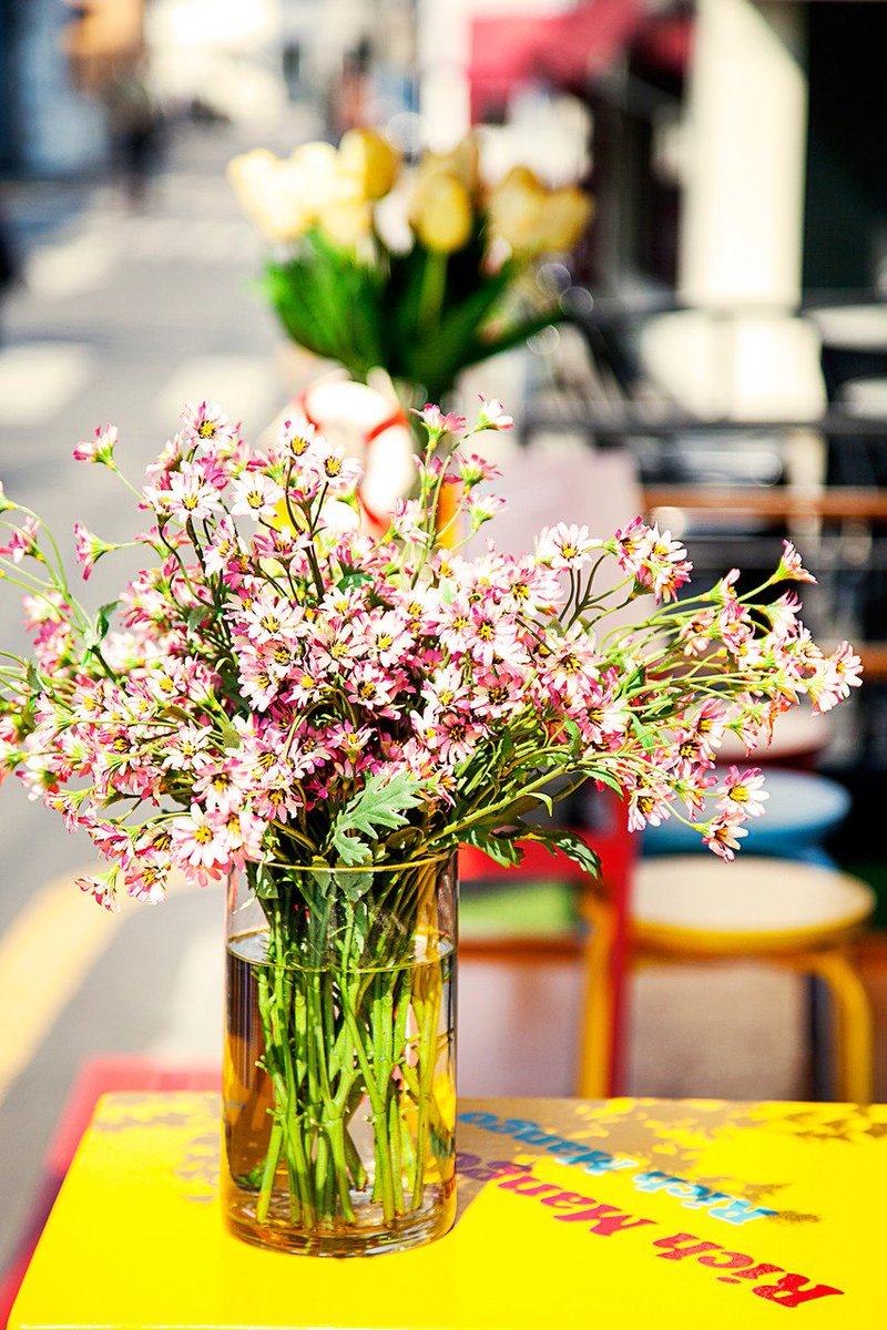 재능 가운데 가장 소중한 재능은 
한 마디면 될 때, 두 마디 말하지 않는 
재주이다.   - 토마스 제퍼슨