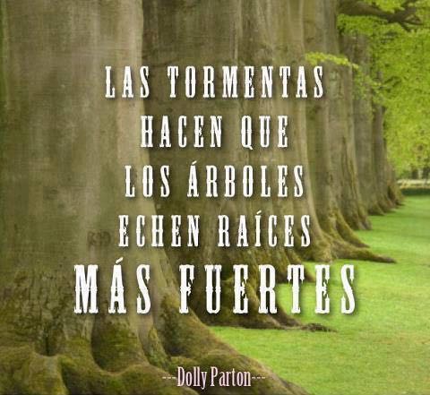JLavalleMaury's tweet photo. La fuerza brota de la experiencia https://t.co/KYQWLMMvQL