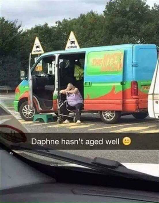 JohnDonoghue64's tweet photo. Scooby Don't... 😬 https://t.co/opIxL8tqoV