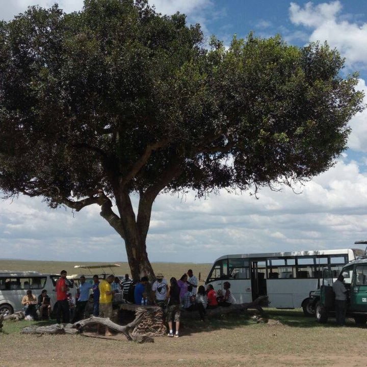 DestConnect's tweet photo. Easter Crazy Deal, For 9,999 Spend your #EasterInMara for 3 Days from 14-16th April 2017 @RhinoTouristCamp. Call now to book:0722268722 https://t.co/1SuKM3NVHY