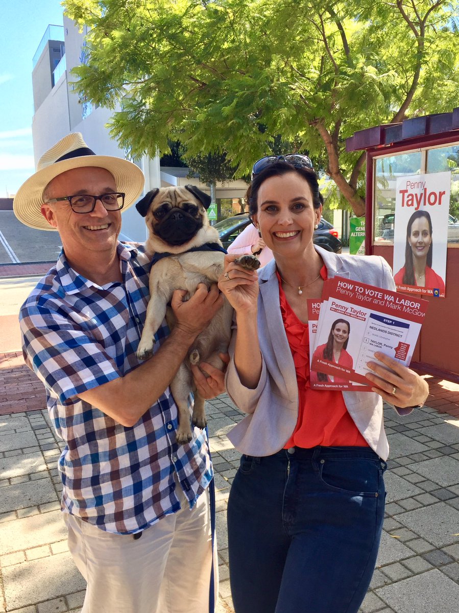 PennymmTaylor's tweet photo. Paws up for Penny! #turntotaylor #WAvotes2017 #wavotes https://t.co/VL4qPknK82