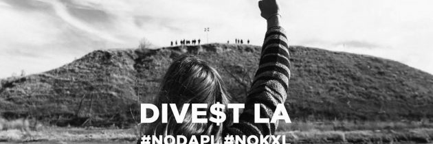 relombardo3's tweet photo. #DivestLA #DeFundDAPL #NativeNationsRise #BlackSnakeKillerz #WaterIsLife #Solidarity #NoSabal #NoKXL #NoPTPL #PeopleOverOil #StandingRock https://t.co/4c2S0TWTuM