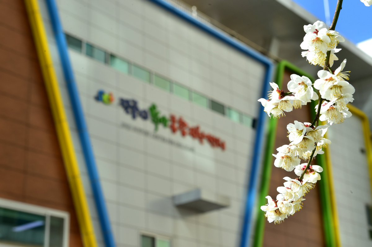 jinjucityhall's tweet image. #봄 봄 봄 봄이 왔어요.♪

#진주시 #육아종합지원센터 앞 너를 봄