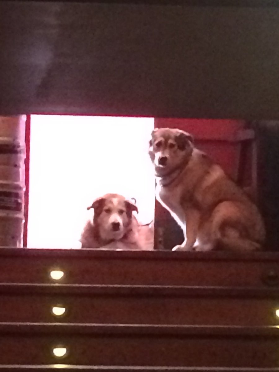 Evening all. Some photos from the 2016 SOBA Wellington awards presentation at <a href="/HashigoZake/">Hashigo Zake</a> this afternoon. facebook.com/nzsoba/posts/1…