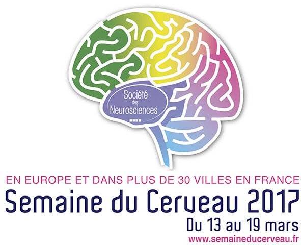 CNRS's tweet photo. Le cerveau : de Hamlet à l’imagerie cérébrale #BlogNeurosciences https://t.co/vyyAVUiuLZ #Sdc2017 https://t.co/tHscDWe4Dj