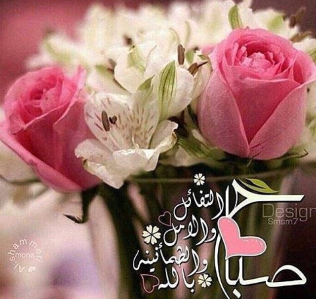 ليس گل شخص يعطيگ نفس الوجع و الآلم
           فهنآگ آشخآص
قد يعوضگ و يدفعگ للآمل من جديد
صـّ♡̨̐ـِْبـٱح الـ♡̨̐ـِْــخـِْـير 🌸🌹