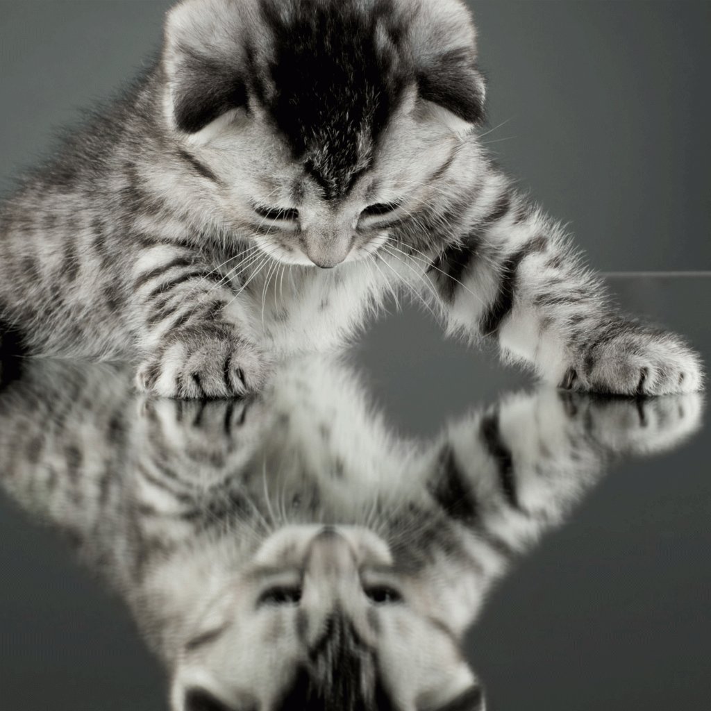 JessMasterKey's tweet image. Week 22 A – Self Direction from Self Reflection masterkeydom.wordpress.com/2017/03/11/wee…