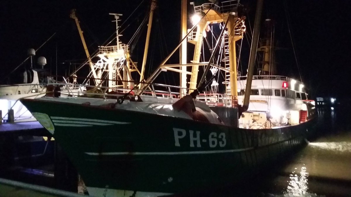 AlbertVCU's tweet photo. Onze vissers denken ook aan het welzijn van de dieren onder het beoefenen van hun visserij #PH63 #Zeehond #Dieren #Welzijn https://t.co/R0HuIOLhNX