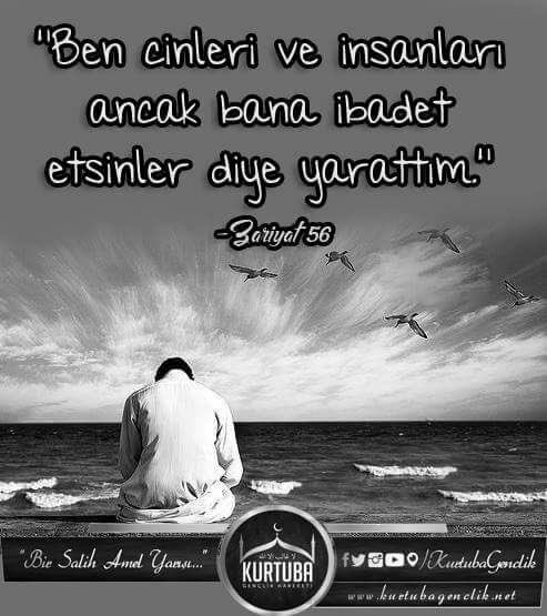 "Min cinn û mirova hey ji bo min bihebînin aferandiye." | (Zariyat/56)