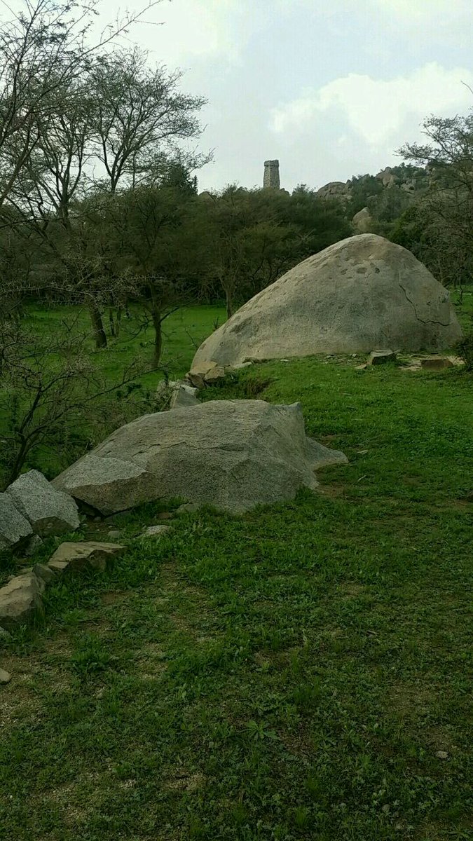 عبادي (@a65033342fa3487) on Twitter photo 