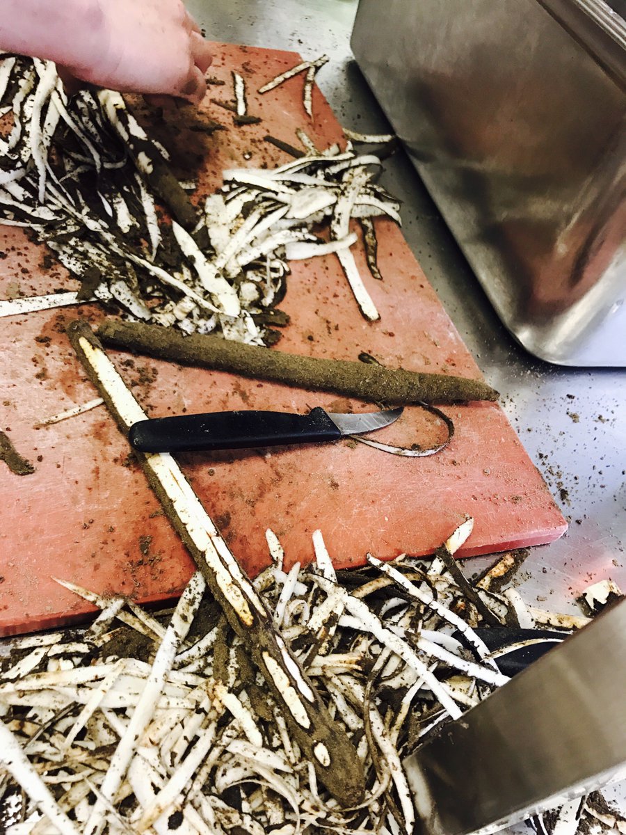 Veronique van Zanten tweet media