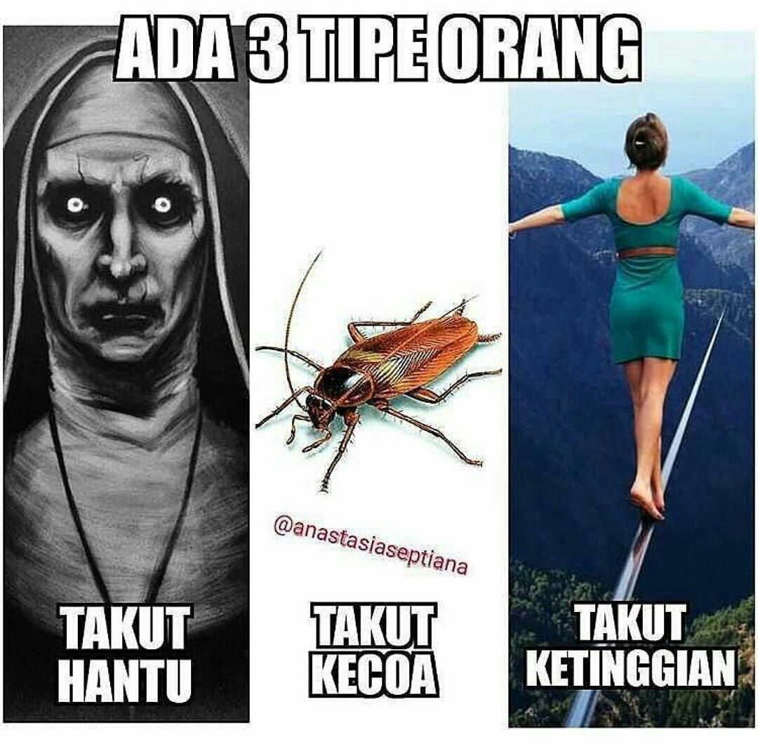 LEO_snacks's tweet photo. JOMBLO tidak ada dimari...  So gak perlu di takuti.  Satnite masih jomblo siapa takut!!! 
Happy satnite tweeps... https://t.co/cmDv7s0Mc9