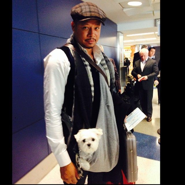 HAPPY BIRTHDAY 

Terrence Howard 