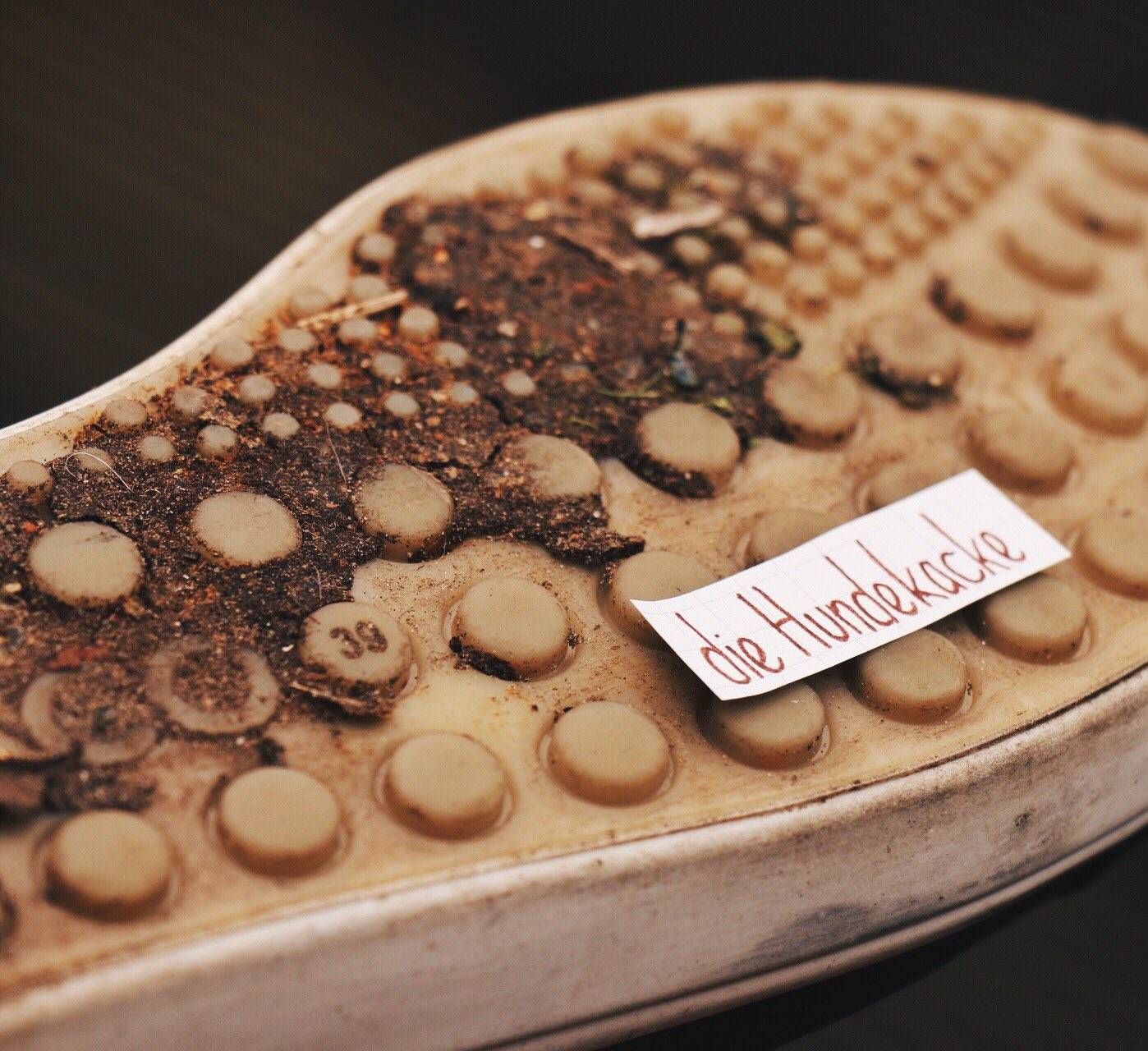 How To Cleen Dog Poop Of Shoes