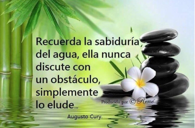 LitaPons's tweet photo. Recuerda la sabiduría del agua, ella nunca discute con un obstáculo, simplemente lo elude. A. Cury https://t.co/Kja3WhEBmN