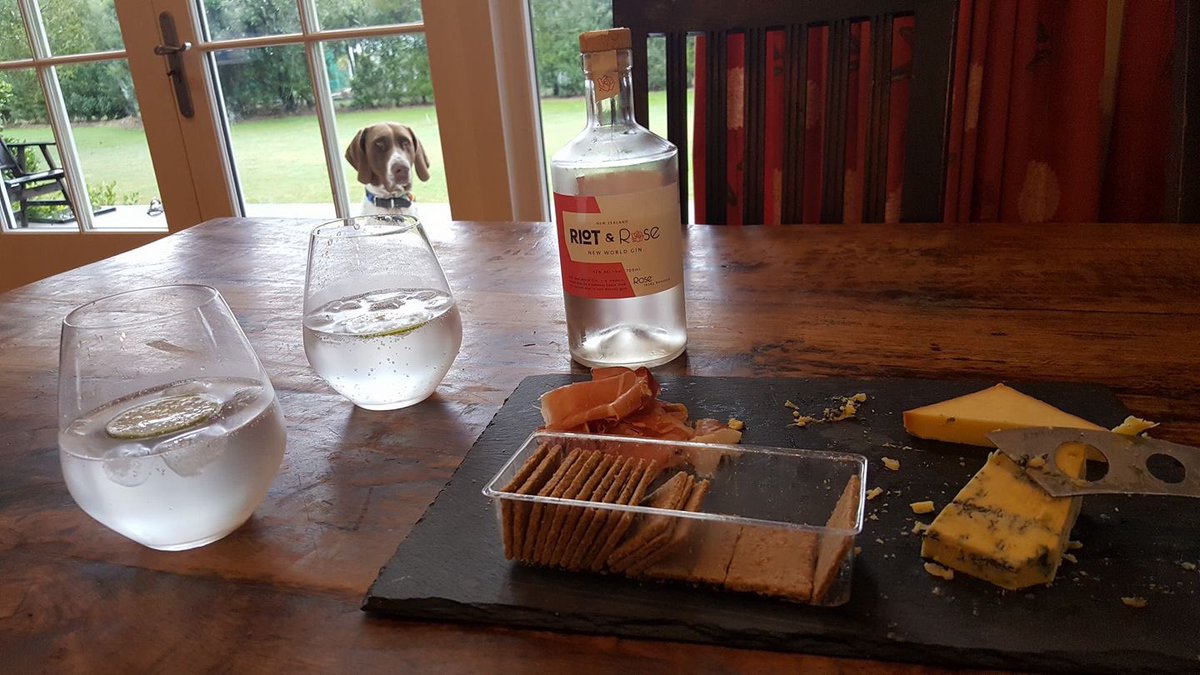 How jealous does the dog look??? Everyone's keen to get their paws on <a href="/riotandrose/">Riot and Rose Gin</a> gin!  #gin #ginoclock #riotandrosegin #ginstagram #nzgin