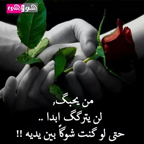 الحب الكبير (@sobh_yaser) on Twitter photo 
