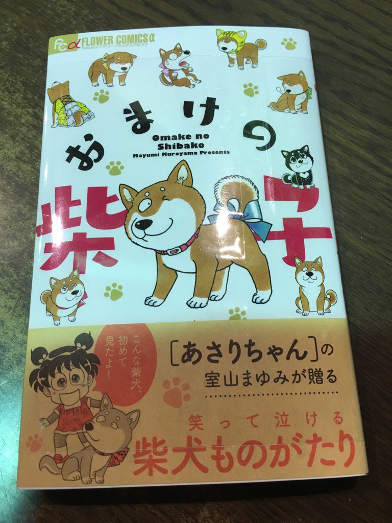 ヴィレッジヴァンガード山口 あさりちゃん の作者室山まゆみ先生が犬マンガを おまけの柴子 犬好きさんには是非読んで欲しいです めっちゃ良い話でした W ﾌﾞﾜｯ ブサイク柴子ちゃん可愛すぎるー