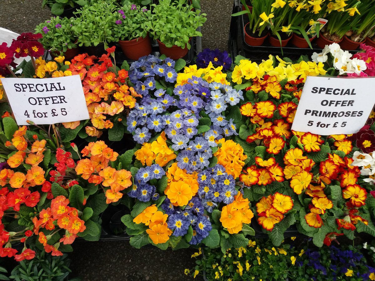 Fabulous flowers #plants #food #foodie #markets #farmersmarket