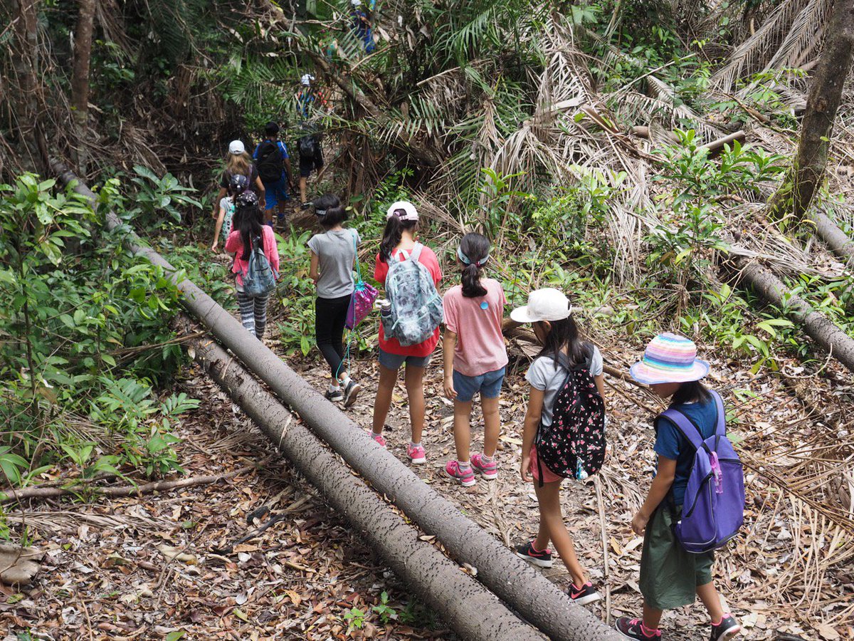 thansen_edu's tweet photo. Overcoming obstacles (literally) while #hiking with these kids in #Malaysia! #ExcursionWeek #CISprimary #OutdoorEd @FeldaTravelSB https://t.co/wu50bxpmrv