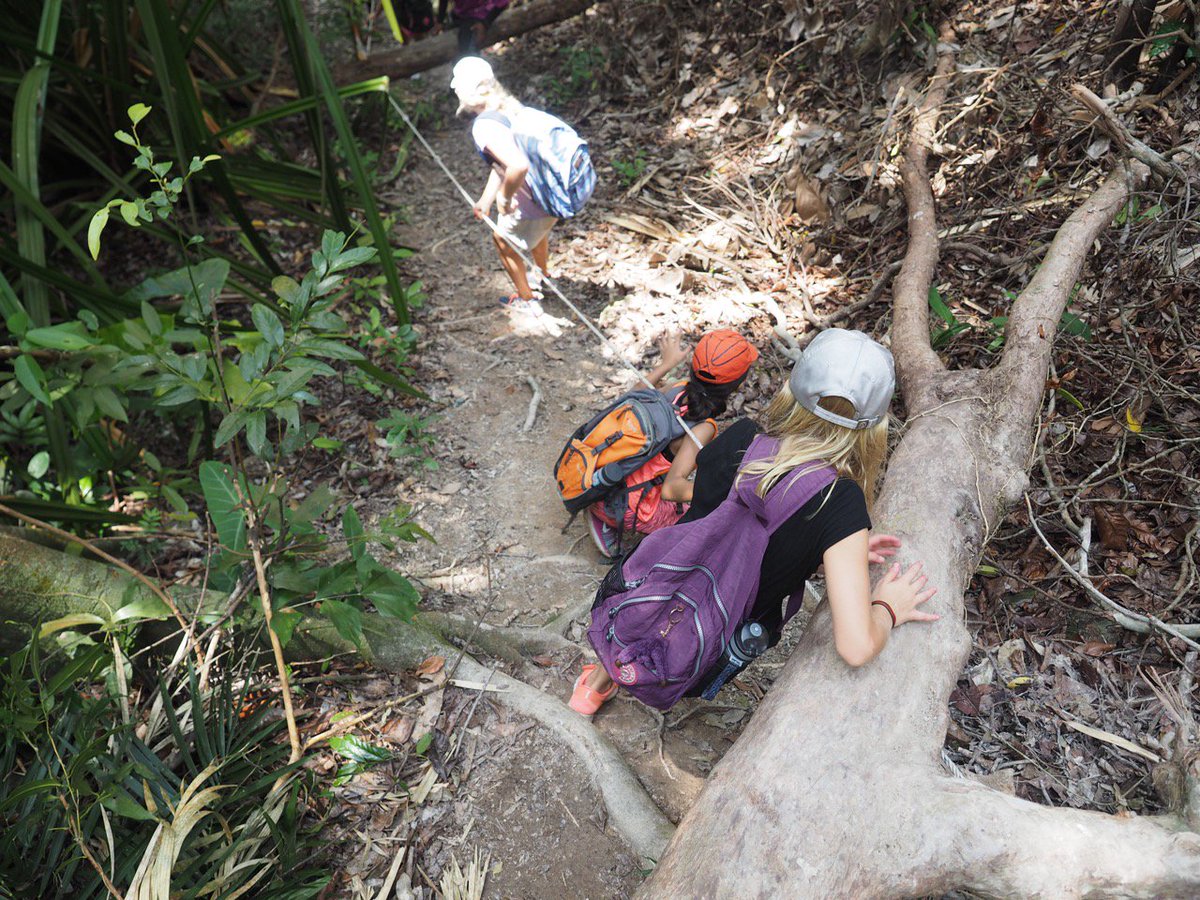 thansen_edu's tweet photo. Overcoming obstacles (literally) while #hiking with these kids in #Malaysia! #ExcursionWeek #CISprimary #OutdoorEd @FeldaTravelSB https://t.co/wu50bxpmrv