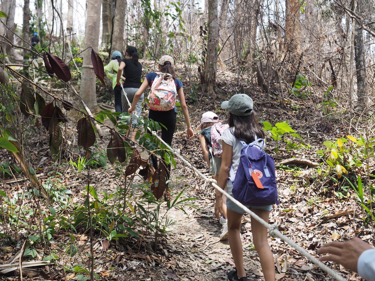 thansen_edu's tweet photo. Overcoming obstacles (literally) while #hiking with these kids in #Malaysia! #ExcursionWeek #CISprimary #OutdoorEd @FeldaTravelSB https://t.co/wu50bxpmrv