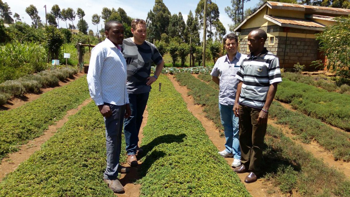 HelitechO's tweet photo. @provestia honored to have President Daniel and Ruy Camargo at one of our demo farms in Kenya Africa https://t.co/J3sIonsr8I